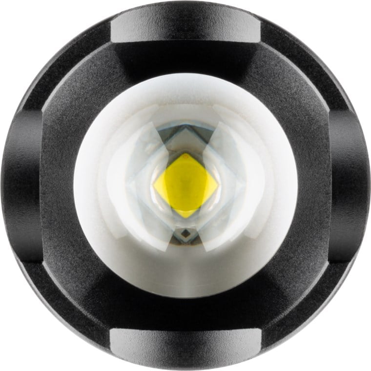Torcia LED ad Alta Luminosità 300lm IPX4