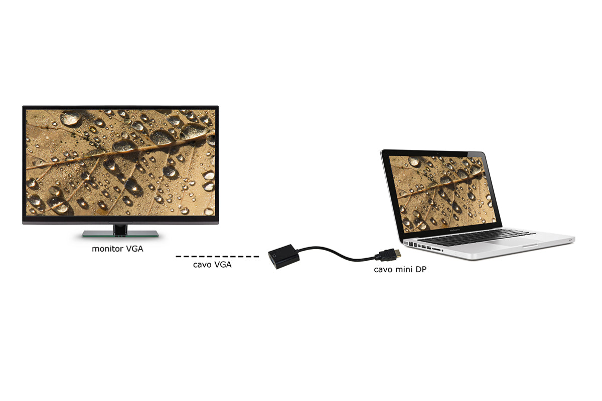ADATTATORE DISPLAYPORT MASCHIO A VGA FEMMINA CM 15