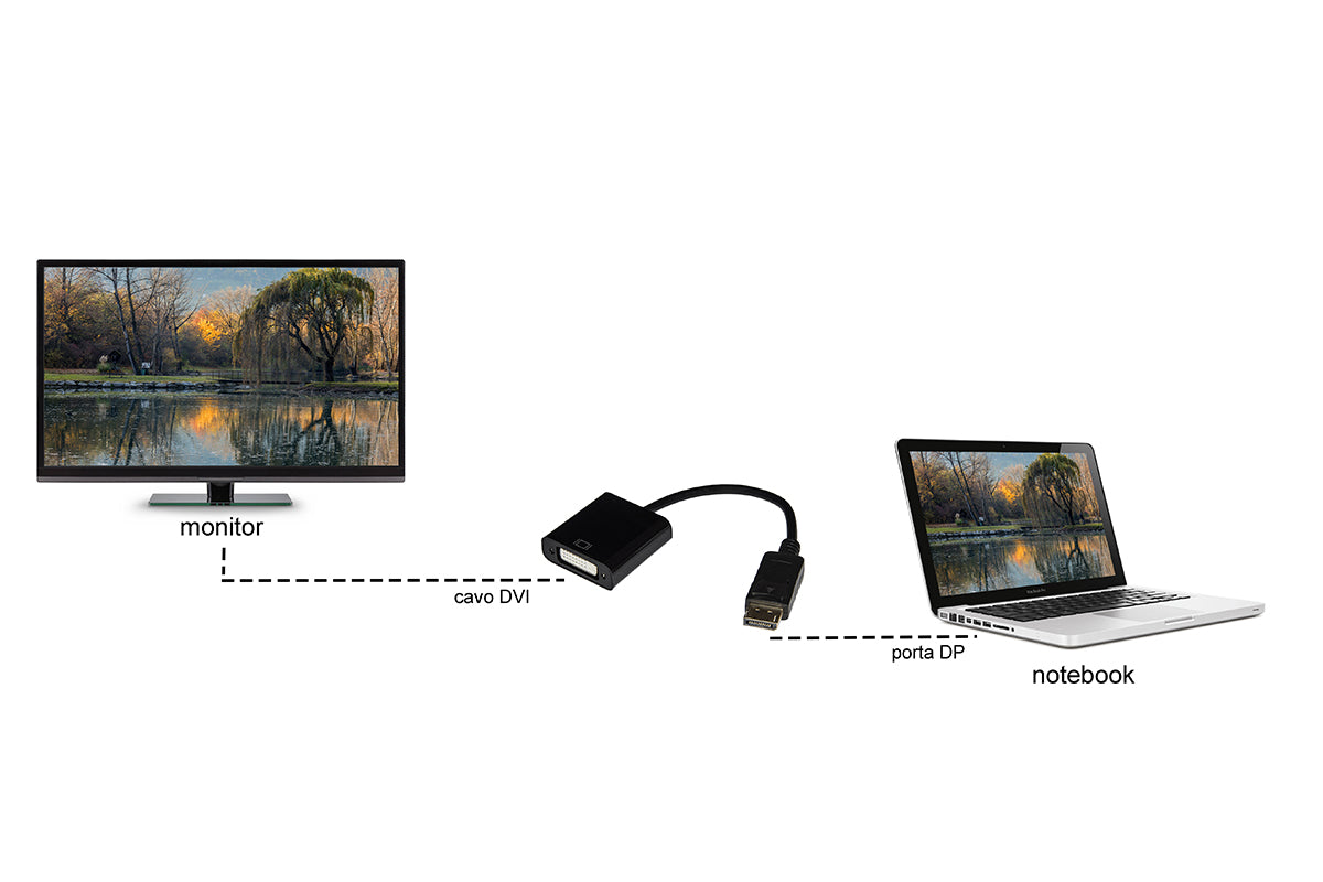 ADATTATORE DISPLAYPORT MASCHIO A DVI-I FEMMINA 24+5