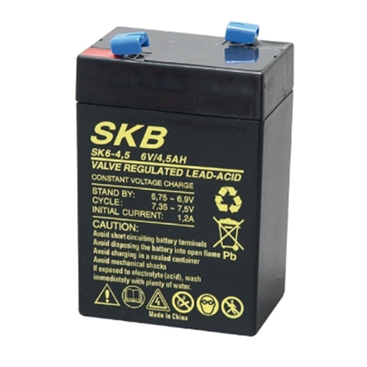 BATTERIA 6V 4.5AH 70X48X101