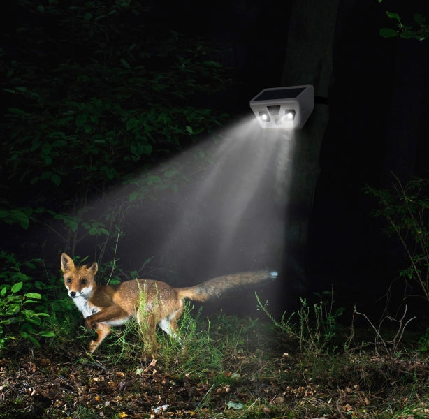 VIDEOCAMERA SOLARE PER ESTERNO FULL HD CON LAMPADA LED