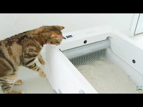 Lettiera autopulente per gatto - Wifi + app TUYA - Capienza 5L