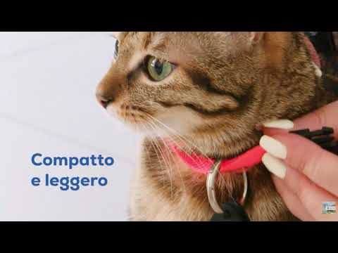 My Friend Tag iOS APPLE