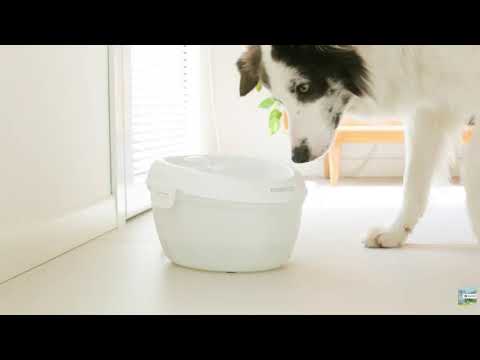 Pet Water Fountain (4L)