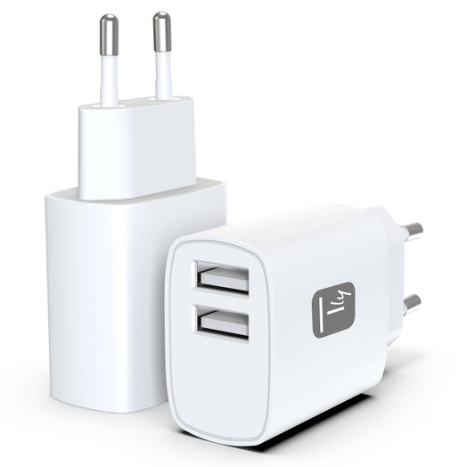 Caricatore Alimentatore 2x USB-A 12W da Muro