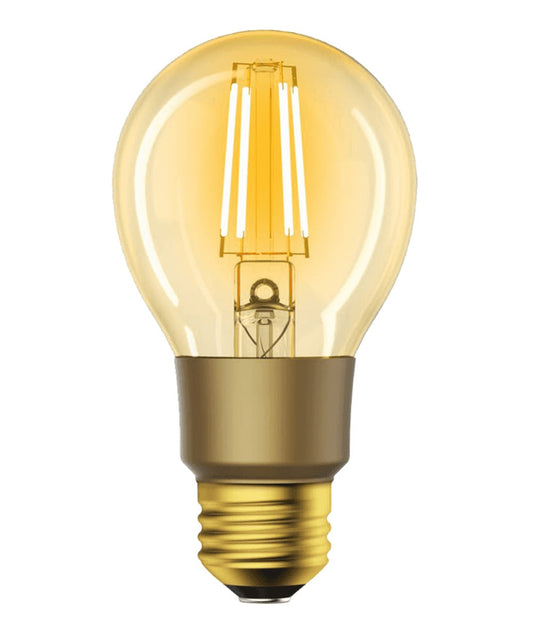 Lampadina LED E27 con Filamento Smart Controllo Vocale Alexa F, R9078