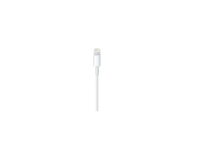 CAVO LIGHTNING A USB 0,5M APPLE ME291ZM/A