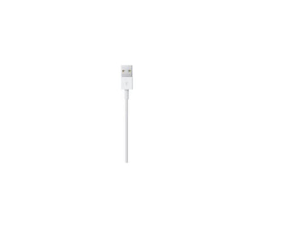 CAVO LIGHTNING A USB 0,5M APPLE ME291ZM/A