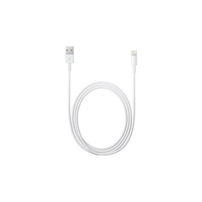 CAVO LIGHTNING A USB 1M APPLE MXLY2ZM/A