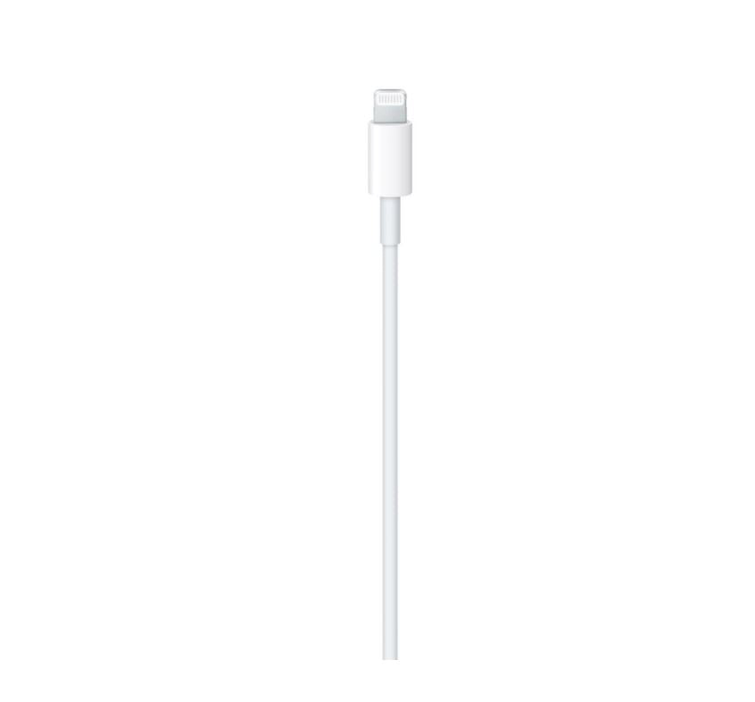 CAVO LIGHTNING A USB-C 1M FAST CHARGE APPLE MUQ93ZM/A