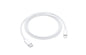 CAVO LIGHTNING A USB-C 1M FAST CHARGE APPLE MUQ93ZM/A