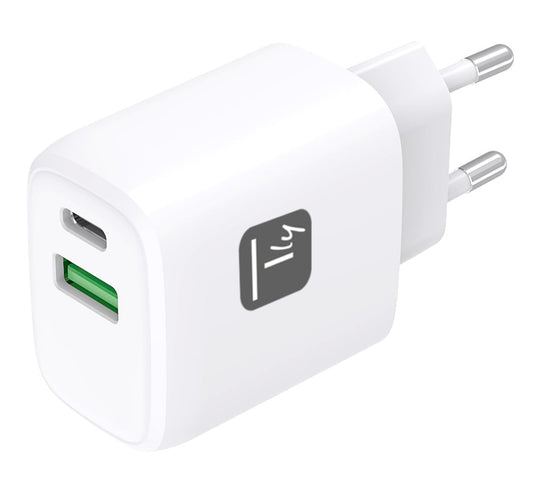 Caricatore Alimentatore GaN USB-C 20W e USB-A 18W da Muro