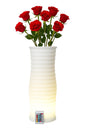 Vaso Luminoso LED RGB Multicolore IP54 con Telecomando