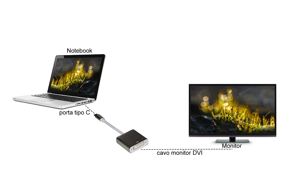ADATTATORE USB-C MASCHIO- DVI FEMMINA