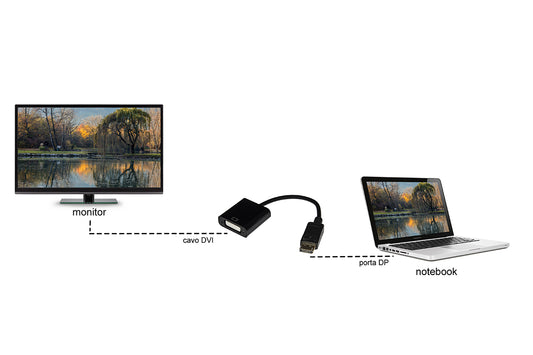 ADATTATORE DISPLAYPORT MASCHIO A DVI-I FEMMINA 24+5