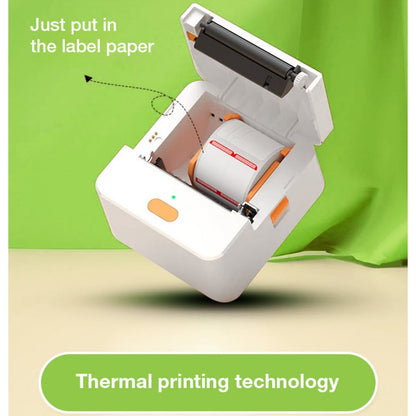 Mini Etichettatrice Stampante Termica Bluetooth Portatile Ricarica USB-C