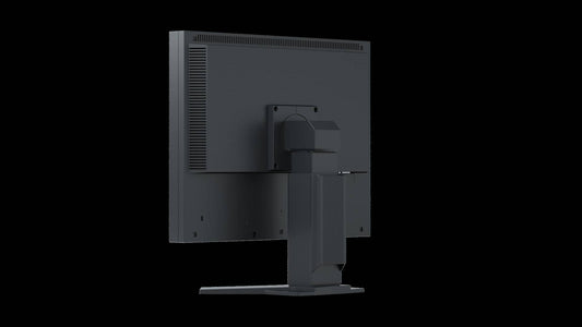 EIZO FlexScan Slim-Monitor S2133-BK monitor 21 - NERO