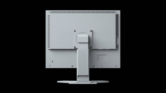 EIZO FlexScan Slim-Monitor S2133-GY monitor 21 - GRIGIO