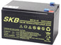 Batteria al piombo 12v 12AH