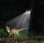 VIDEOCAMERA SOLARE PER ESTERNO FULL HD CON LAMPADA LED