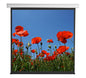 Schermo di Proiezione Motorizzato 112'' 200x200 PSA-112-2