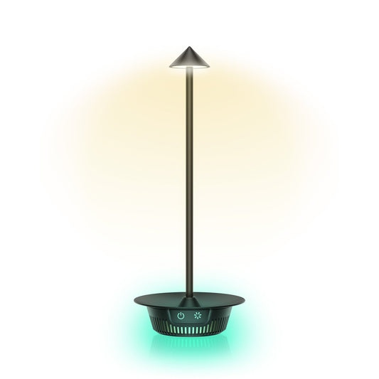 Lampada LED Multicolore da Tavolo Dimmerabile Batteria Ricaricabile Alimentazione USB-C™